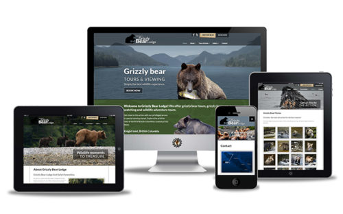 Wildlife Tourism website design