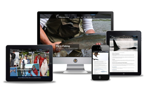 sailcone website deisgn